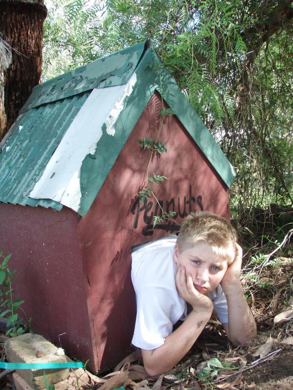 Kurrajong Trails & Cottages Wheeny Creek Exterior photo