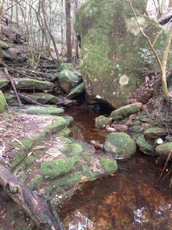 Kurrajong Trails & Cottages Wheeny Creek Exterior photo