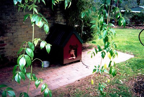 Kurrajong Trails & Cottages Wheeny Creek Exterior photo